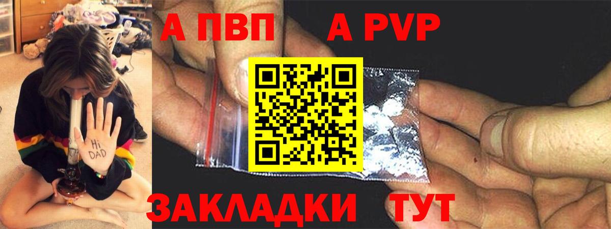 Alfa_PVP СК КРИС Ростов-на-Дону