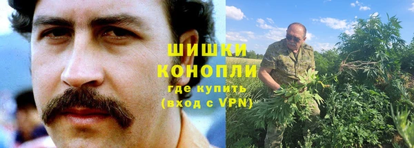 спайс Лагань