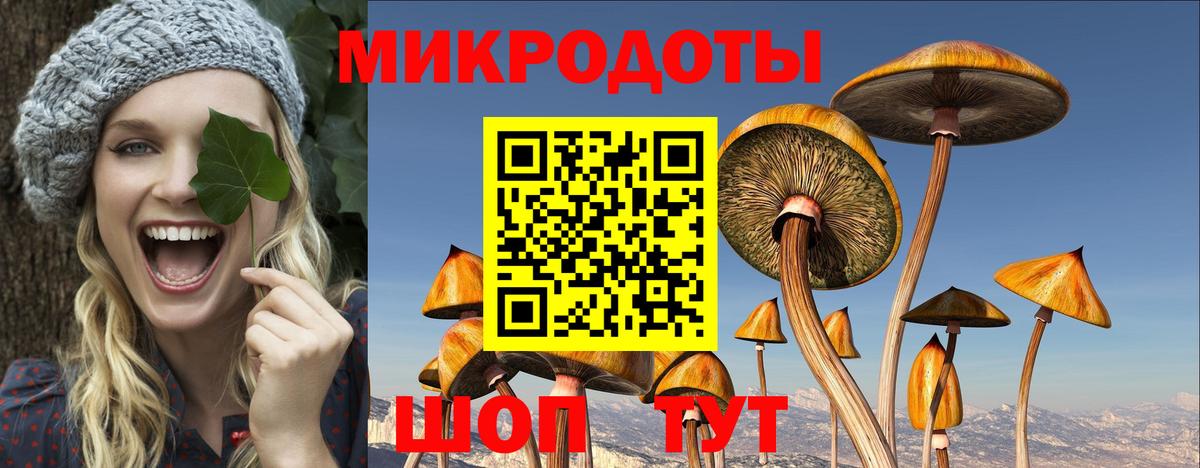 Галлюциногенные грибы MAGIC MUSHROOMS Ростов-на-Дону
