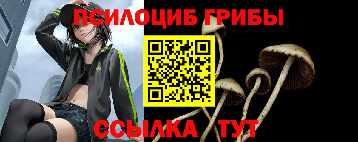 Галлюциногенные грибы Psilocybe  Вход с VPN  Галлюциногенные грибы GOLDEN TEACHER  Ростов-на-Дону 
