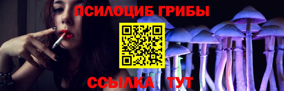 Галлюциногенные грибы Cubensis Ростов-на-Дону